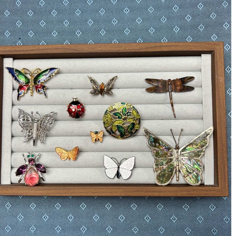 Insect Brooch Lot 11pc Butterfly Dragonfly Ladybug Monet Alpaca Mexico Vintage